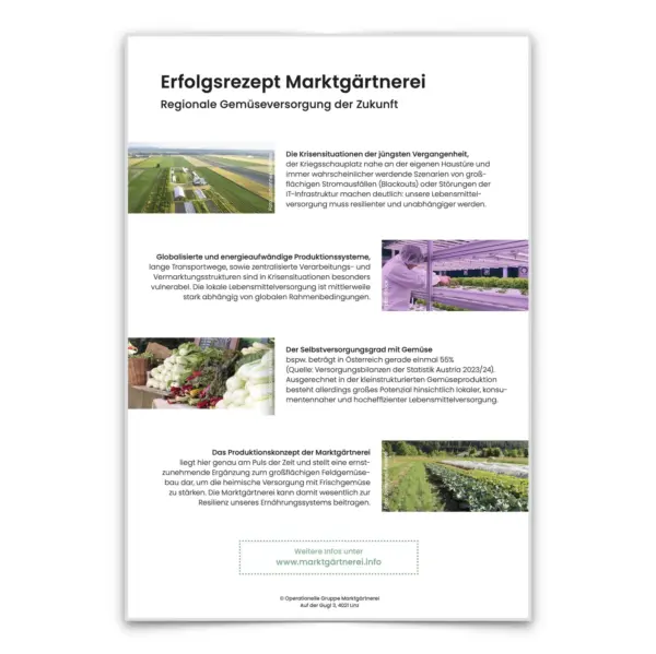 Doppelseitiges Inlay für Entscheidungsträger:innen und Multiplikator:innen (Download)